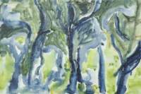 Photo Number 14